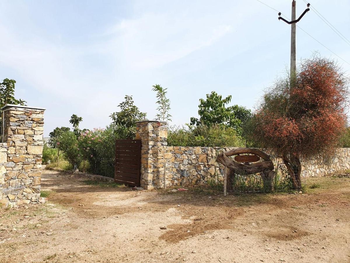 Bijapur Lodge Jawai Exterior photo